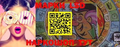 индика Краснознаменск