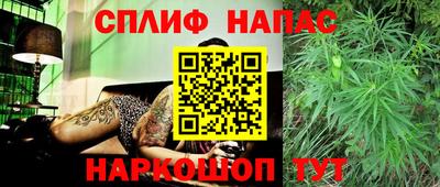 apvp Краснодар