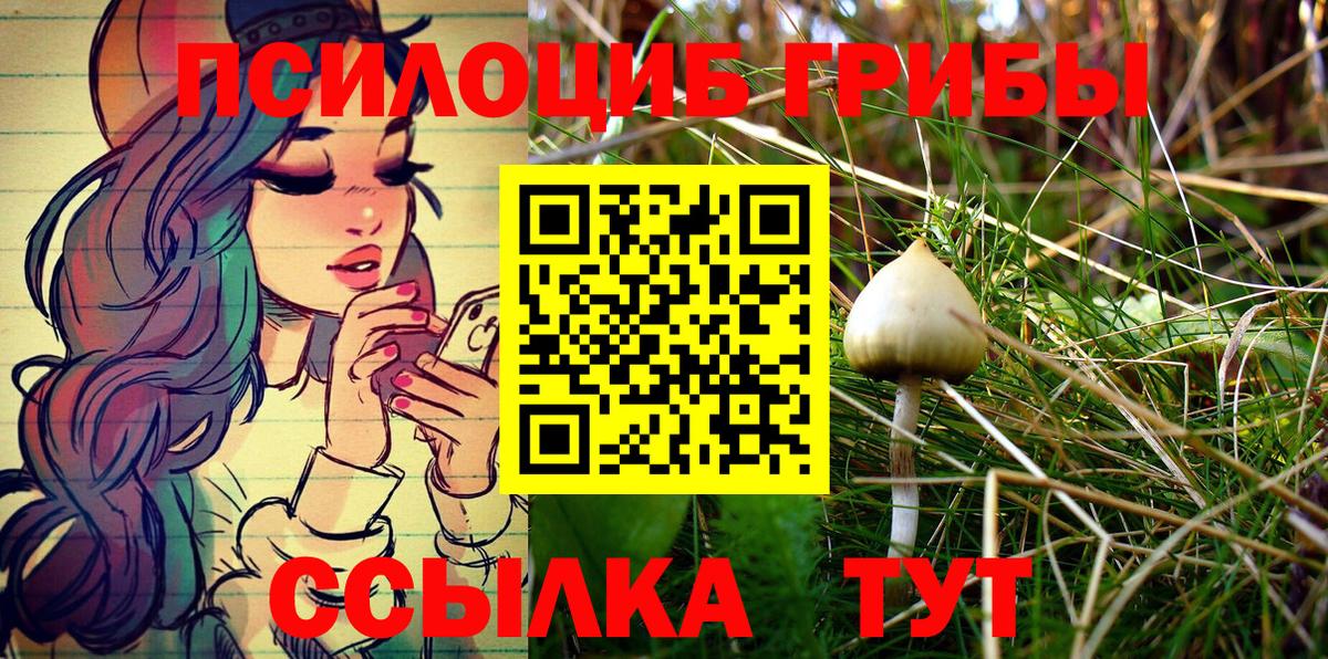 Галлюциногенные грибы мухоморы Котлас