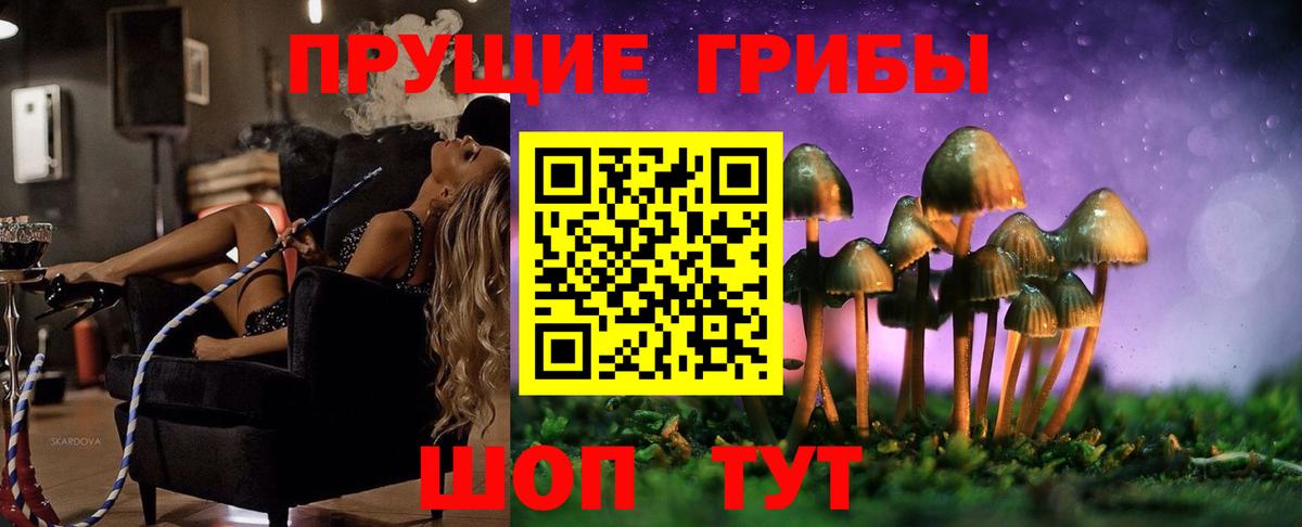 купить наркотик  Галлюциногенные грибы мицелий  Вход с VPN  Галлюциногенные грибы Magic Shrooms  Котлас 