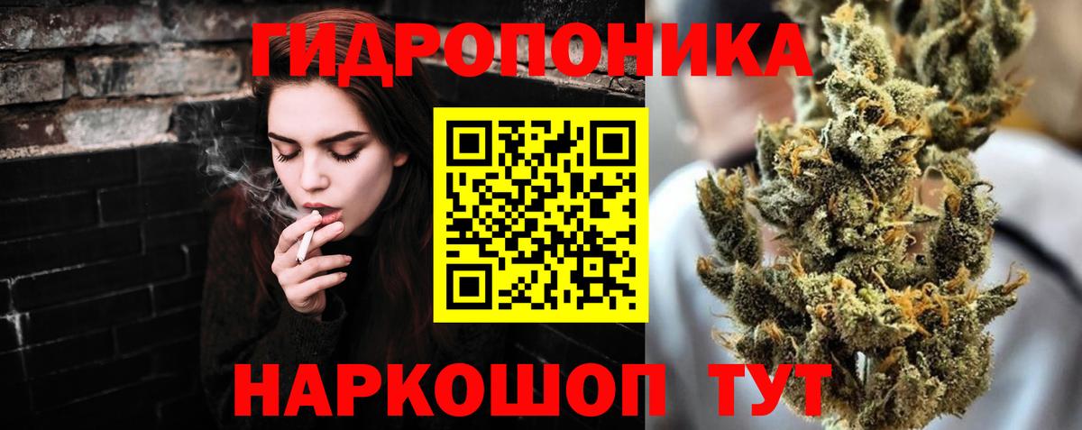 Котлас  Шишки марихуана семена  Конопля Ganja  Каннабис THC 21%  Вход с VPN 